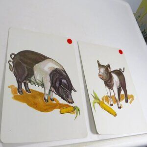 Peabody 60s ANIMALS Pig & Piglet (2) cards Vintage Artwork Hampshire or Saddlebk
